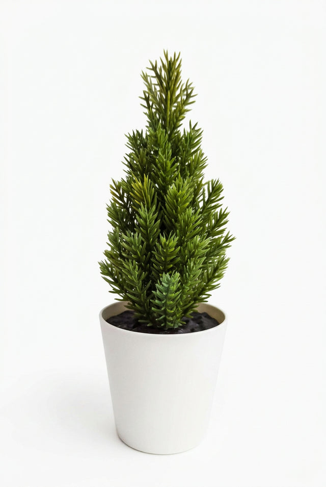 Thuja overig
